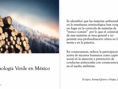 Delitos ambientales