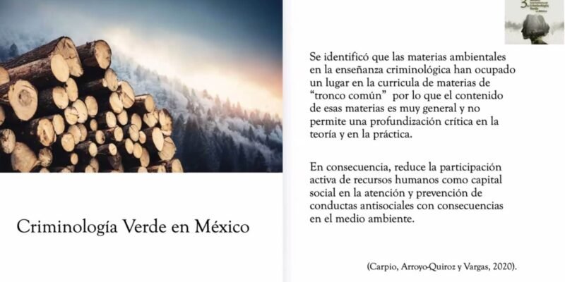 Delitos ambientales